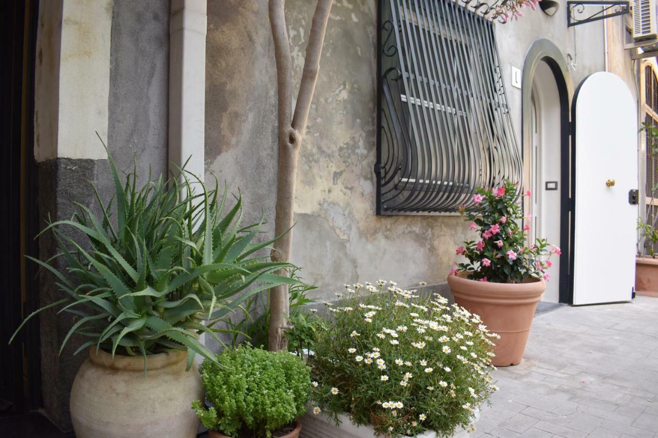 Camula Inn Apartament CTA Exterior photo